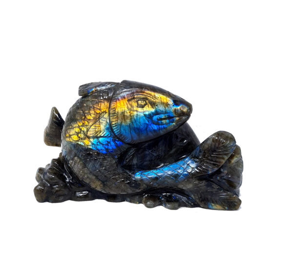 Labradorite Fish