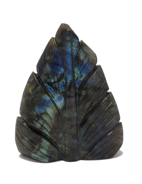 Labradorite Lord Buddha Head in Leaf - Image 4